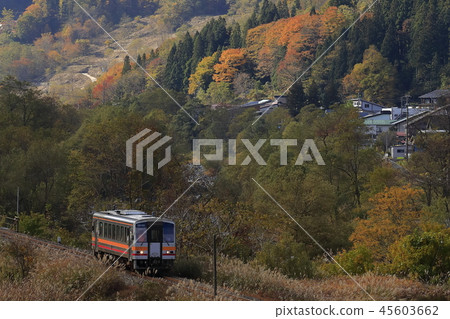 Autumn leaves big lean line Autumn leaves big lean line 45603662