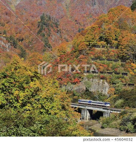 Tadami line of autumn leaves 45604032