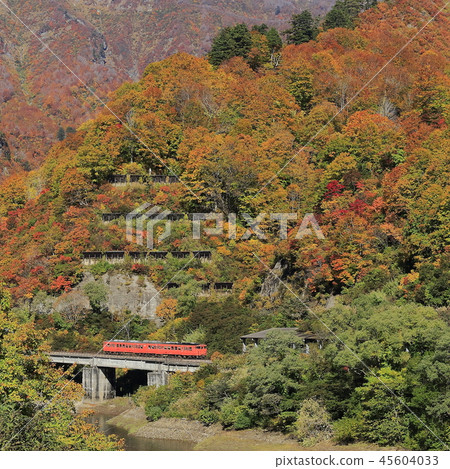 Tadami line of autumn leaves 45604033