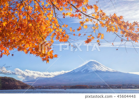 Mt Fuji  the early morning 45604448