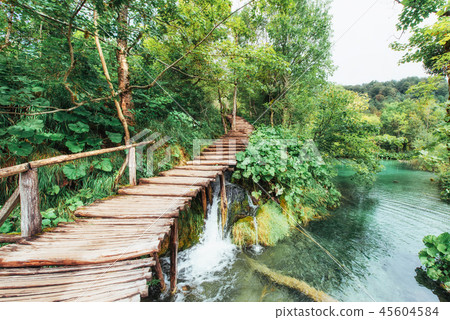 Beautiful waterfall in summer green forest. Beautiful waterfall in summer green forest. 45604584