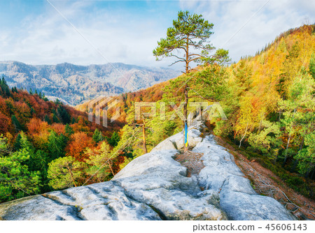 Walking in rocky terrain in the forest. Carpathian, Ukraine 45606143