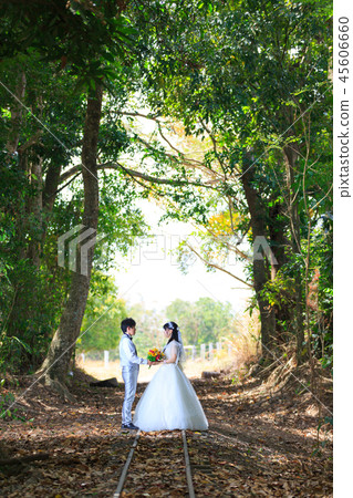 注視一條軌道的夫婦在一個熱帶森林裡 注視一條軌道的夫婦在一個熱帶森林裡 45606660