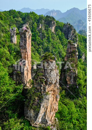 Zhangjiajie mountains, China Zhangjiajie mountains, China 45606675