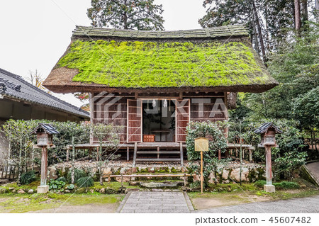 島根觀光:熊野大社 島根觀光:熊野大社 45607482