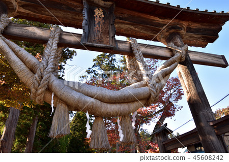 Shingu Kumano Shrine Nagatobe Torii 45608242