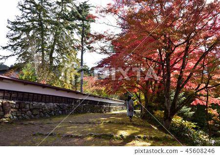 Fukumitsu Kokoro Takamori Kuraji 45608246