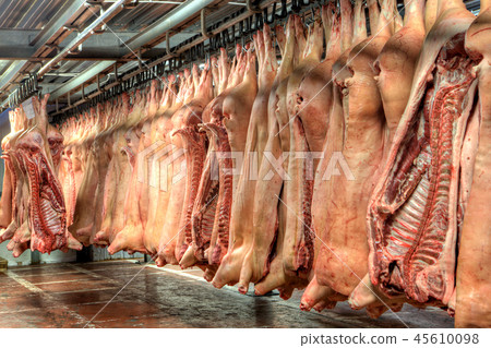Cold storage room for meat, pork in freezer. 45610098