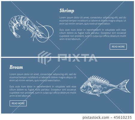Shrimp and Bream Marine Products Landing Page 45610235