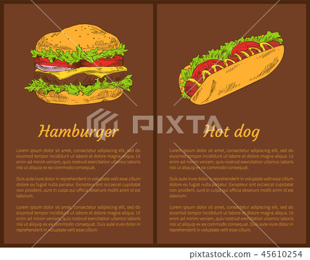 Hamburger and Hot Dog Set Vector Illustration Hamburger and Hot Dog Set Vector Illustration 45610254