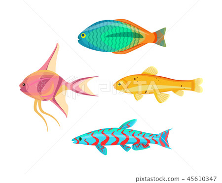 Betta Splendens Fish Types Set Vector Illustration 45610347