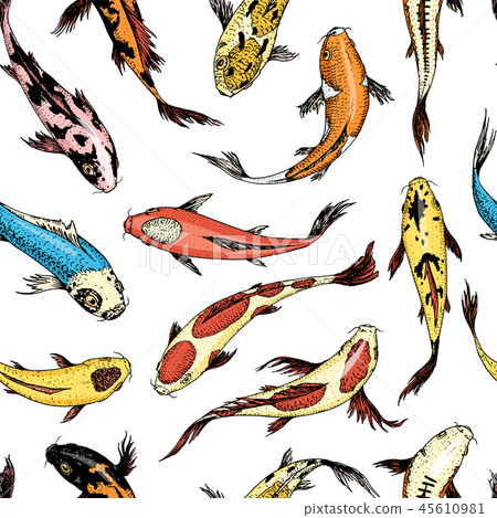 Koi carps, seamless pattern japanese fish. Korean animals. Engraved hand drawn. Vintage tattoo 45610981