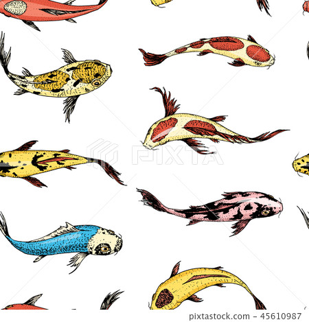 Koi carps, seamless pattern japanese fish. korean animals. Engraved hand drawn line art Vintage Koi carps, seamless pattern japanese fish. korean animals. Engraved hand drawn line art Vintage 45610987