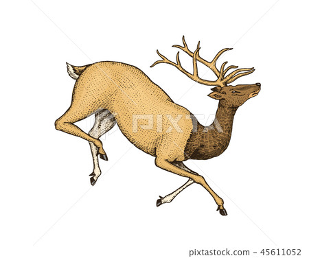 Soaring deer. Wild animal jumping. Horned mammal. Monochrome Vintage style. Engraved hand drawn Soaring deer. Wild animal jumping. Horned mammal. Monochrome Vintage style. Engraved hand drawn 45611052