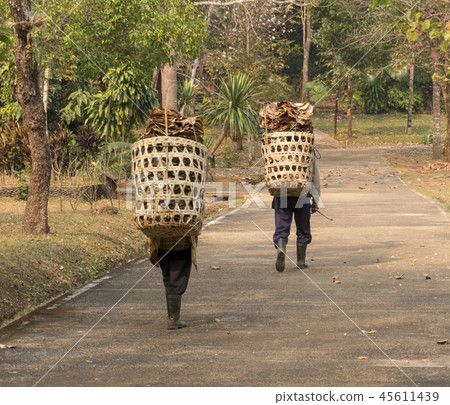 Tribal Carrying basket with Leaves Wild walk Forest storage Northern Thailand. Tribal Carrying basket with Leaves Wild walk Forest storage Northern Thailand. 45611439