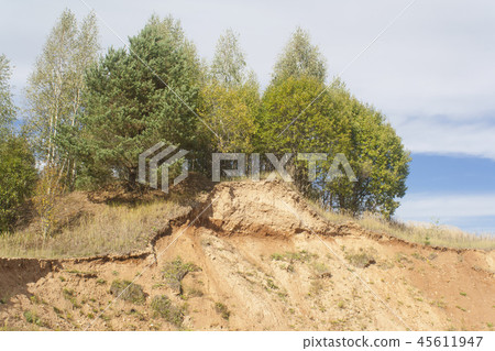 few trees over a sandy cliff few trees over a sandy cliff 45611947