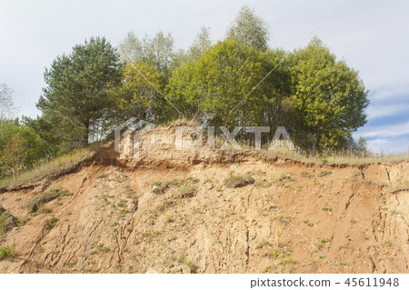 few trees over a sandy cliff few trees over a sandy cliff 45611948