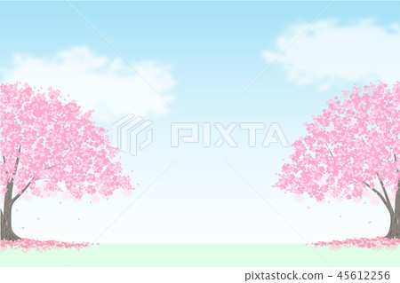 Cherry tree background 45612256