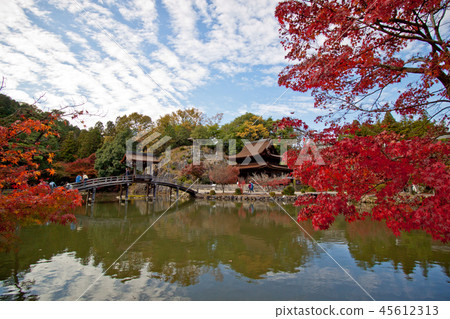 虎谷山愛寶寺4 45612313