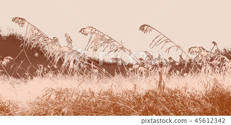 autumn autumn 45612342