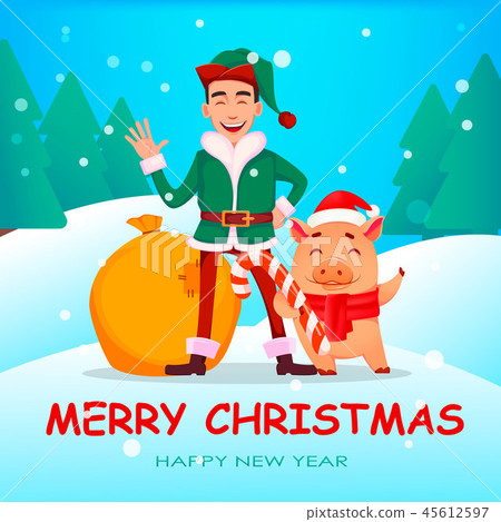 Handsome Santa Claus helper elf. 45612597