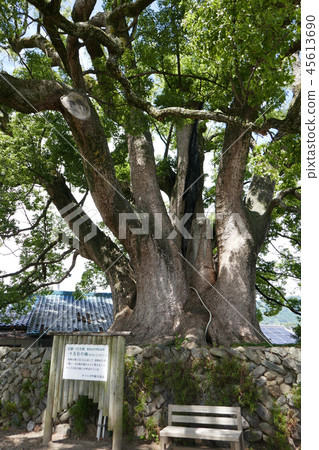 第十五公司的和歌山 第十五公司的和歌山 45613690