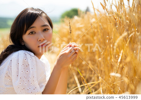 麥田和婦女畫象 45613999