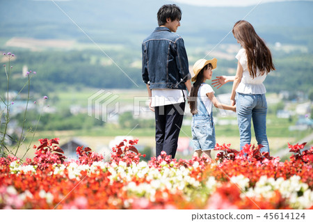 Flower field and family 45614124