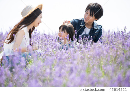 Flower field and family Flower field and family 45614321