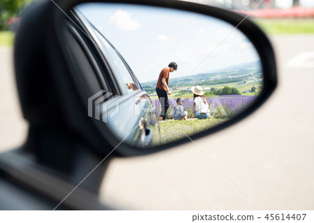 Flower field and family 45614407