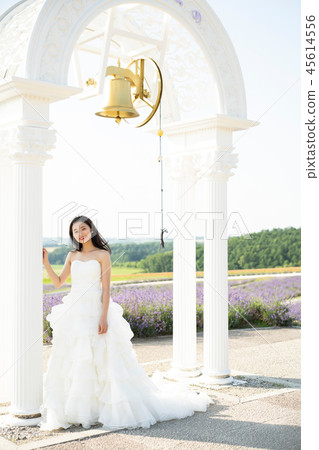 Wedding portrait Hokkaido 45614556