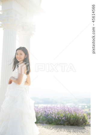 Wedding portrait Hokkaido Wedding portrait Hokkaido 45614566