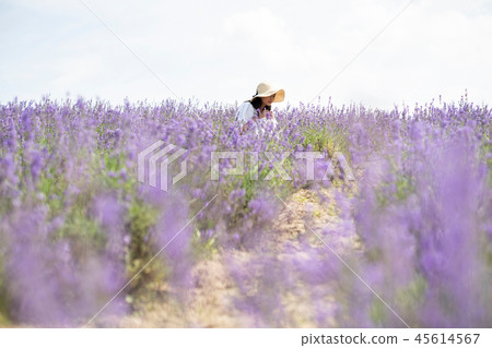 Flower field and woman portrait 45614567