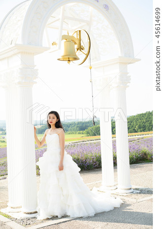 婚禮肖像北海道 45614699