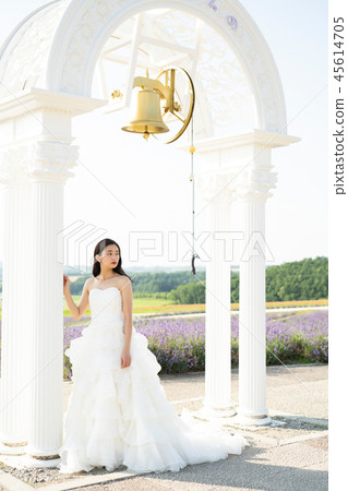 Wedding portrait Hokkaido Wedding portrait Hokkaido 45614705