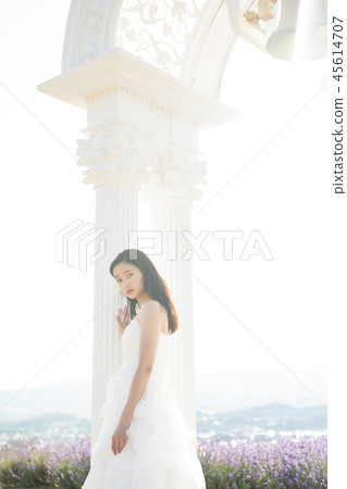 Wedding portrait Hokkaido Hokkaido Wedding portrait Hokkaido Hokkaido 45614707