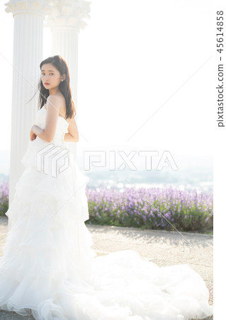 Wedding portrait Hokkaido Wedding portrait Hokkaido 45614858