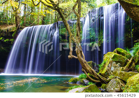 Autumn leaves of Nabegadaki Water curtain [Oguni Town, Aso District, Kumamoto Prefecture] 45615429