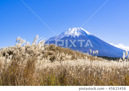 Susukihara and Mt. Fuji in Asagirikogen 45615456