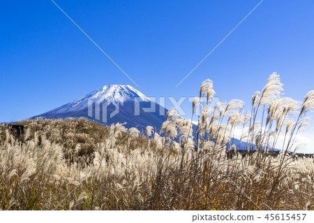 Susukihara and Mt. Fuji in Asagirikogen 45615457