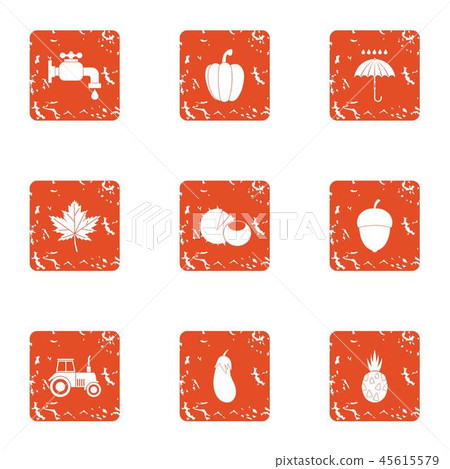 Autumn garden icons set, grunge style 45615579