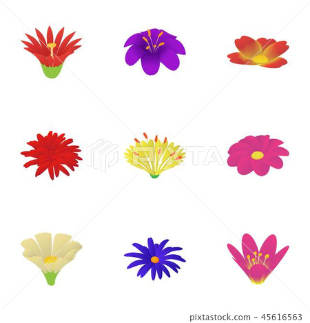 Paper flower icons set, isometric style 45616563