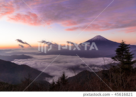 從Shindoen的雲海中的富士山 從Shindoen的雲海中的富士山 45616821