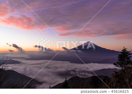 Mt. Fuji in the sea of clouds from Shindoen Mt. Fuji in the sea of clouds from Shindoen 45616825