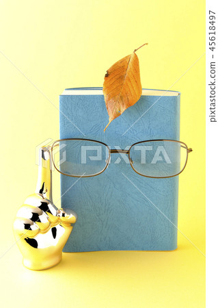 Characterize a book 45618497