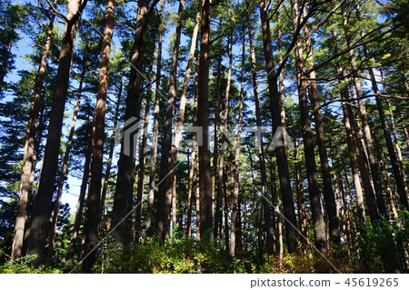 秋天天藍色的峭壁的秋天的三陸地質公園 45619265