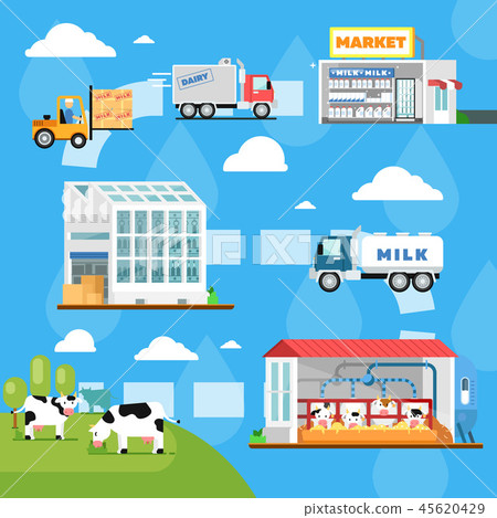 Eco milk manufacturing infographics in flat style 45620429