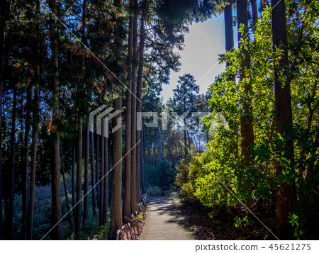 [Shizuoka Prefecture Izu City] Park promenade [Shuzenji Niji no Sato] 45621275