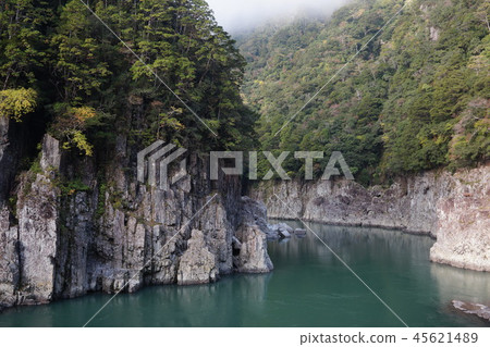 Shenyang autumn scenery 45621489