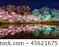Joetsu Takada Park 45621675